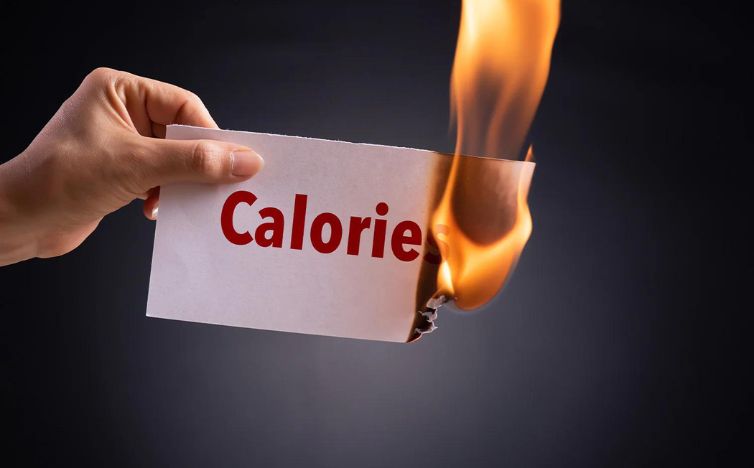 Read more about the article How WBV Machines Boost Calorie Burn and Metabolism