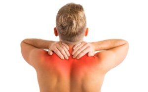 Read more about the article Relieving Muscle Spasms with Whole Body Vibration