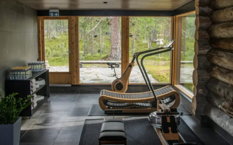 Read more about the article Eco-Friendly Machines: Sustainable Choices for Greener Workout